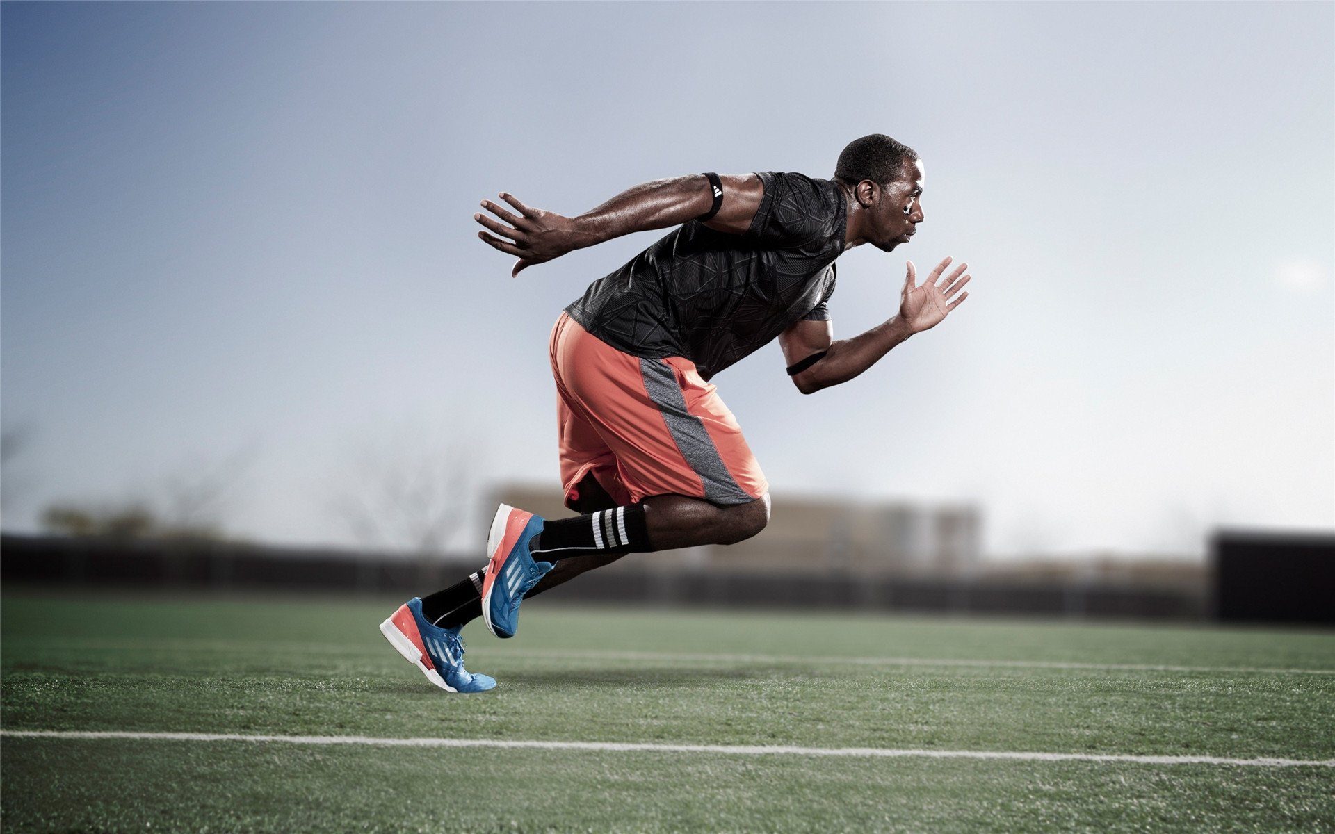 综合格斗赛场焦点!荷兰队对阵中国队,体能极限考验,赛场硬仗一触即发